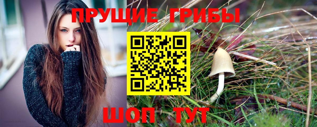 Галлюциногенные грибы MAGIC MUSHROOMS Черняховск