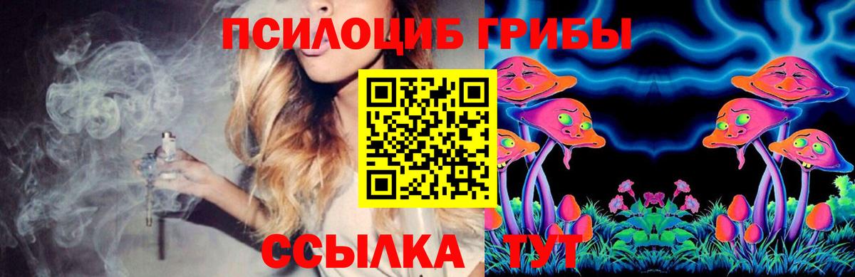 Псилоцибиновые грибы MAGIC MUSHROOMS  Вход с VPN  Черняховск 